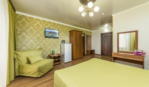 Стандарт плюс двухместный, вид на парк