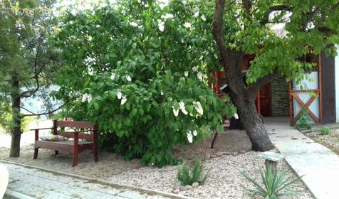 Четырехместный комфорт №1