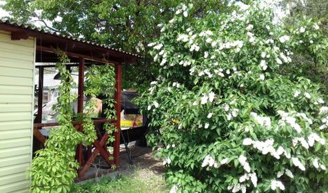 Четырехместный комфорт №1