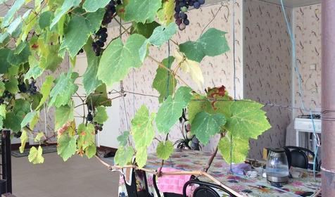 Коттедж двухкомнатный. Частный дом Ласточка, Туапсе, Небуг