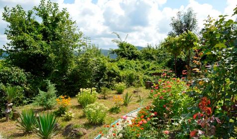 Гостевой дом Клевер. Туапсе, Новомихайловский