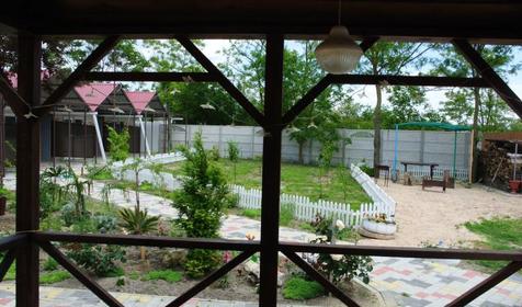 Летящая по волнам