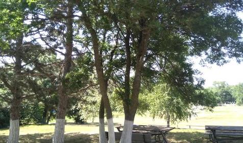 Пансионат Октябрь. Геленджик, Кабардинка