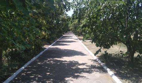 Пансионат Октябрь. Геленджик, Кабардинка