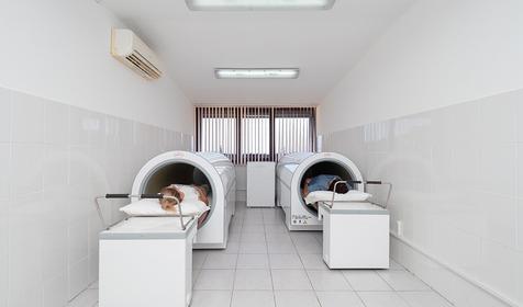 Пансионат Шексна, Сочи, Лазаревский район, Вардане