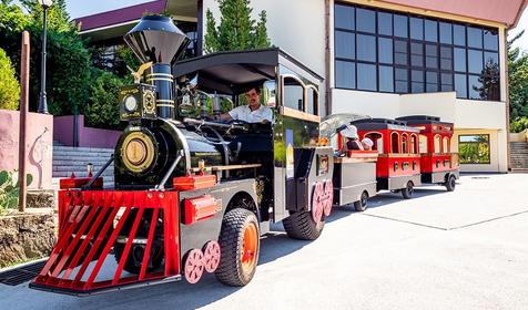 Пансионат Шексна, Сочи, Лазаревский район, Вардане