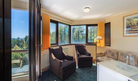  Полулюкс двухместный двухкомнатный. Пансионат Шексна, Сочи, пос. Вардане