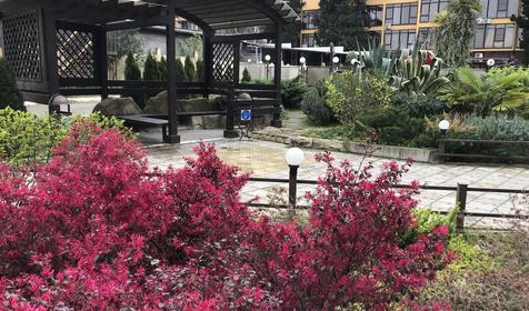 Отель А-отель Каисса, Сочи, г. Адлер