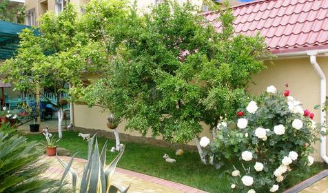 Отель Вариант, Сочи, Адлер