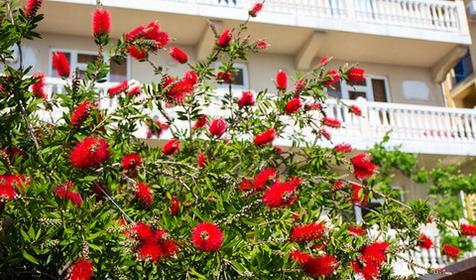 Отель Вариант, Сочи, Адлер