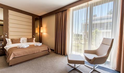 Супериор. Парк-отель Арфа. Сочи, Адлер