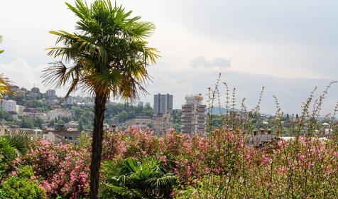 Коттеджный комплекс Royal Hills. Сочи