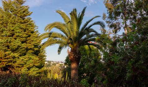 Коттеджный комплекс Royal Hills. Сочи