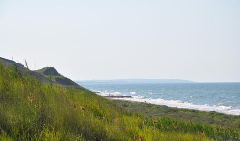 Гостевой дом Romantiс (Романтик). Темрюк, За Родину