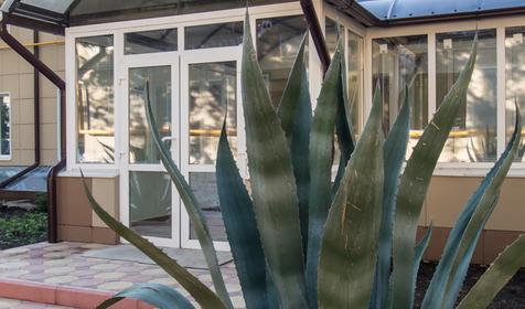 Отель Азалия, Сочи, Адлер