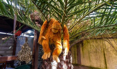 Гостевой дом Мелисса, г. Сочи, Адлерский р-н, с. Веселое