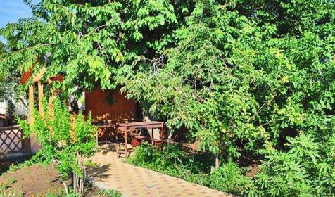 Детский оздоровительный лагерь "Максимум", г. Анапа