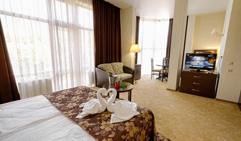 Студия двухместная (вид на горы) без балкона. Отель Калифорния, Геленджик