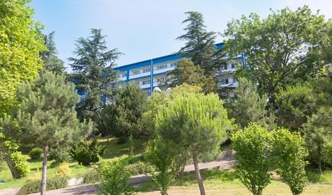 Парк-отель Небуг. Туапсе, Небуг