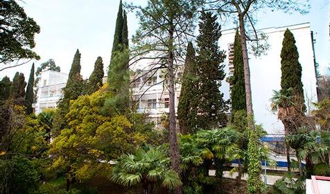 Санаторий Сочинский. Сочи