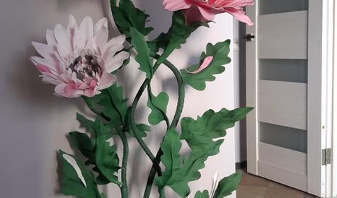 Стоматологический кабинет PRO100 Улыбнись! Краснодар