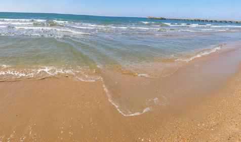 Leonidas (Леонидас)