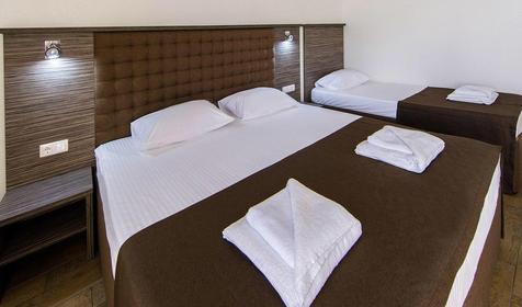 Полулюкс трехместный