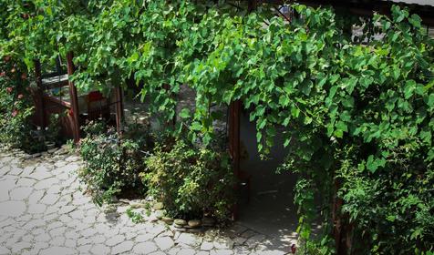 Гостевой дом На береговой 18. Геленджик, Архипо-Осиповка