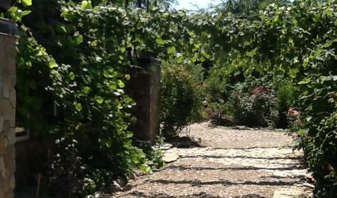 Гостевой дом На береговой 18. Геленджик, Архипо-Осиповка