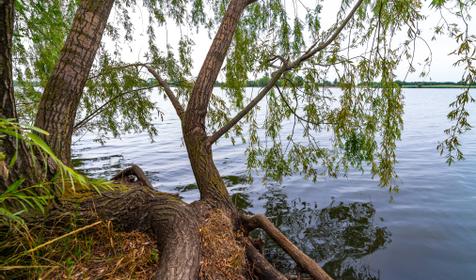 Рыболовная база Шаповаловский пруд, Красноармейский район, ст. Ивановская