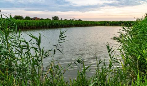 Рыболовная база Шаповаловский пруд, Красноармейский район, ст. Ивановская