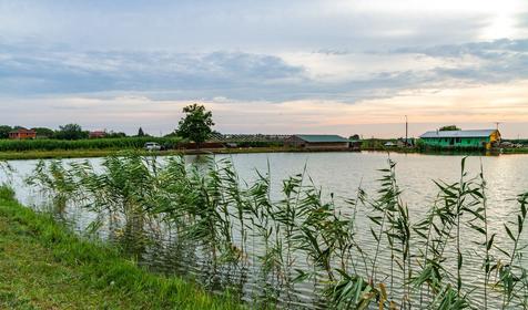 Рыболовная база Шаповаловский пруд, Красноармейский район, ст. Ивановская