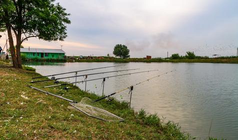 Рыболовная база Шаповаловский пруд, Красноармейский район, ст. Ивановская