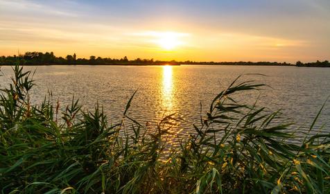 Рыболовная база Шаповаловский пруд, Красноармейский район, ст. Ивановская