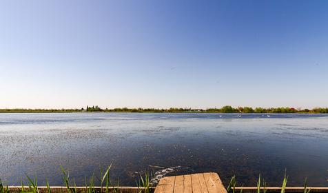 Рыболовная база Шаповаловский пруд, Красноармейский район, ст. Ивановская