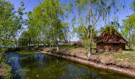 Рыболовная база Шаповаловский пруд, Красноармейский район, ст. Ивановская