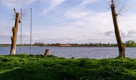 Рыболовная база Шаповаловский пруд, Красноармейский район, ст. Ивановская