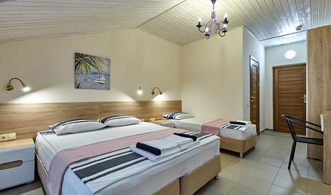 Стандарт трехместный однокомнатный. Отель Золотой фазан, Темрюк, Кучугуры