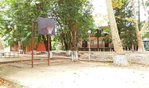 База отдыха "Олеся", Сочи, Лазаревское