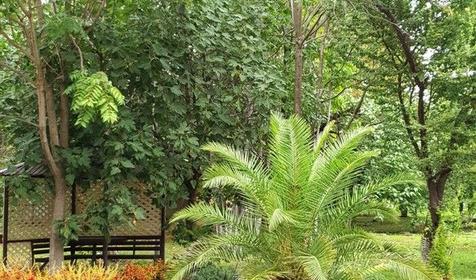 База отдыха "Олеся", Сочи, Лазаревское