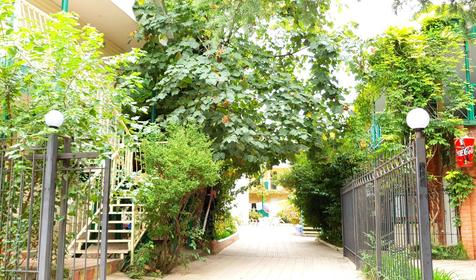 База отдыха "Олеся", Сочи, Лазаревское