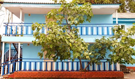 База отдыха "Олеся", Сочи, Лазаревское