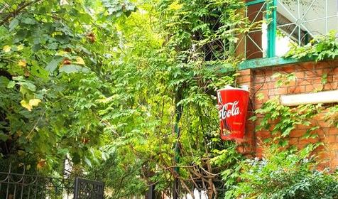 База отдыха "Олеся", Сочи, Лазаревское