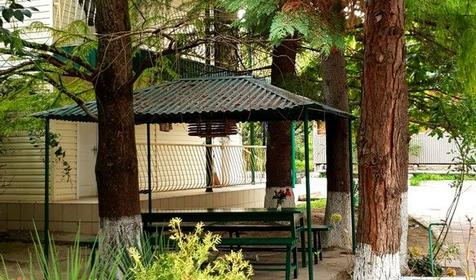 База отдыха "Олеся", Сочи, Лазаревское