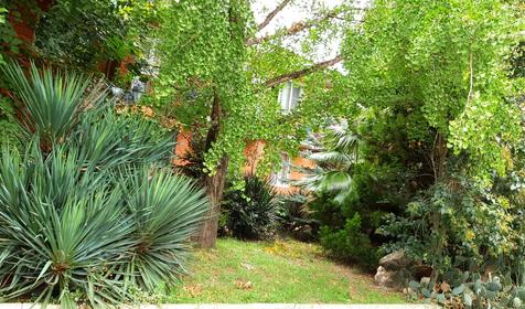 База отдыха "Олеся", Сочи, Лазаревское