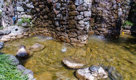 Гостевой дом Sun City (Сан Сити). Сочи, Адлер