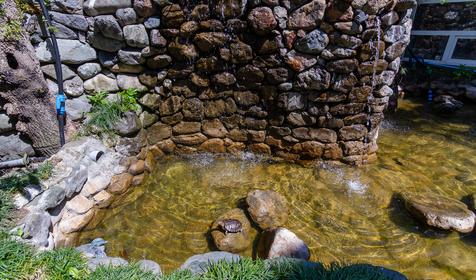 Гостевой дом Sun City (Сан Сити). Сочи, Адлер