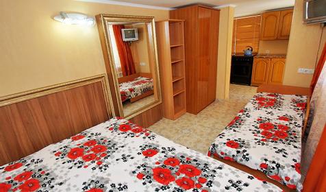 Однокомнатный с кухней в коттедже на 1 этаже