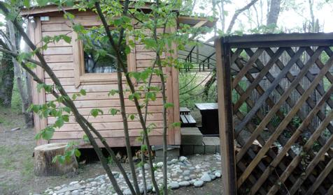 Романтик у реки