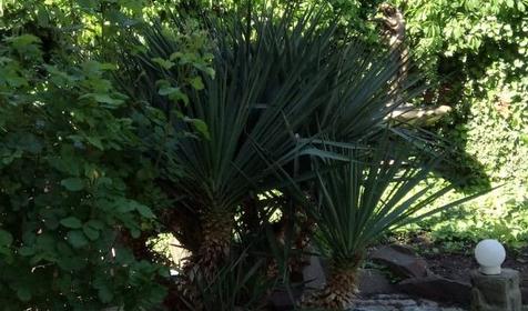 Гостевой дом Кристина, г. Геленджик, с. Кабардинка